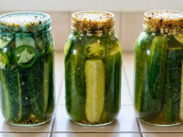 Claussen Kosher Pickle Recipe