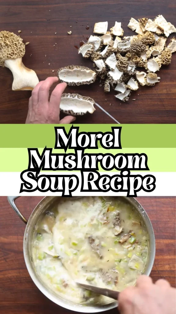 Delicious Morel Mushroom Soup