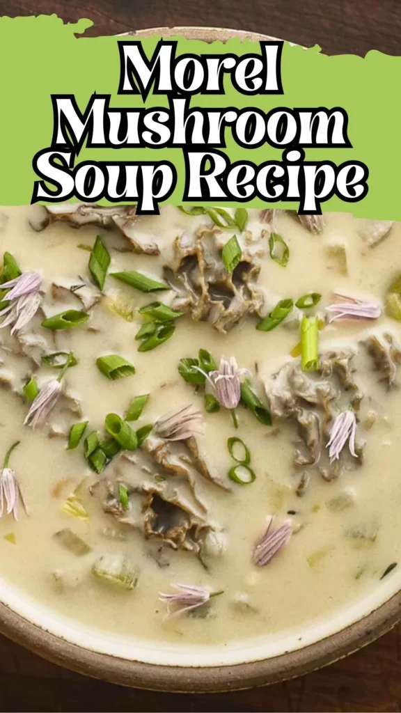 Enjoy this Morel Mushroom Soup