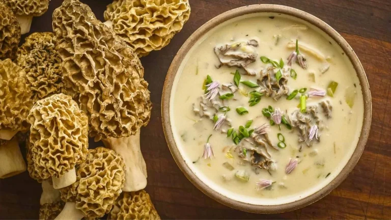 Morel Mushroom Soup Recipe