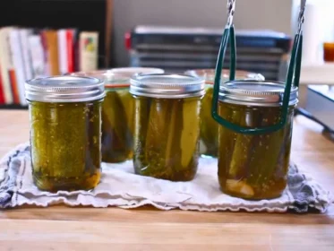 Vlasic Kosher Dill Pickle Recipe