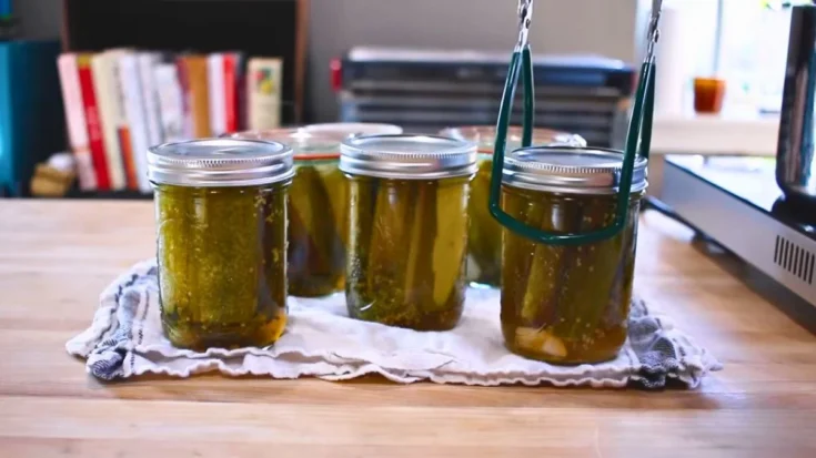 Vlasic Kosher Dill Pickle Recipe